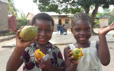 ¡Llegó la epoca de mangos!